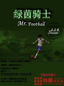 绿茵骑士